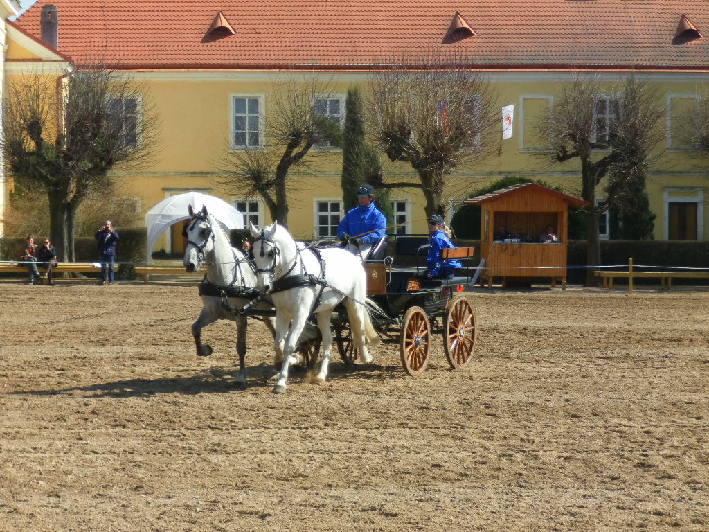 SAM_0820