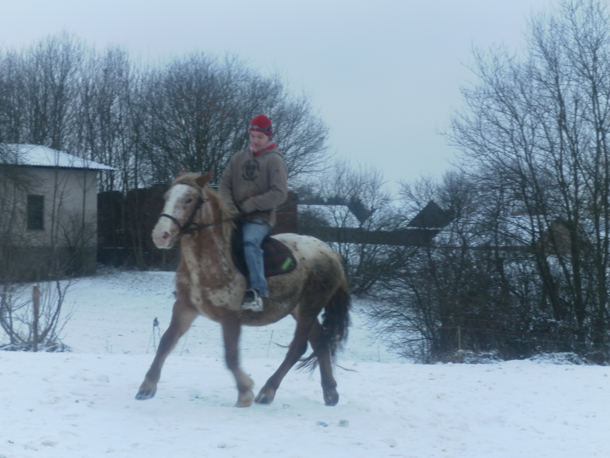 SAM_0206