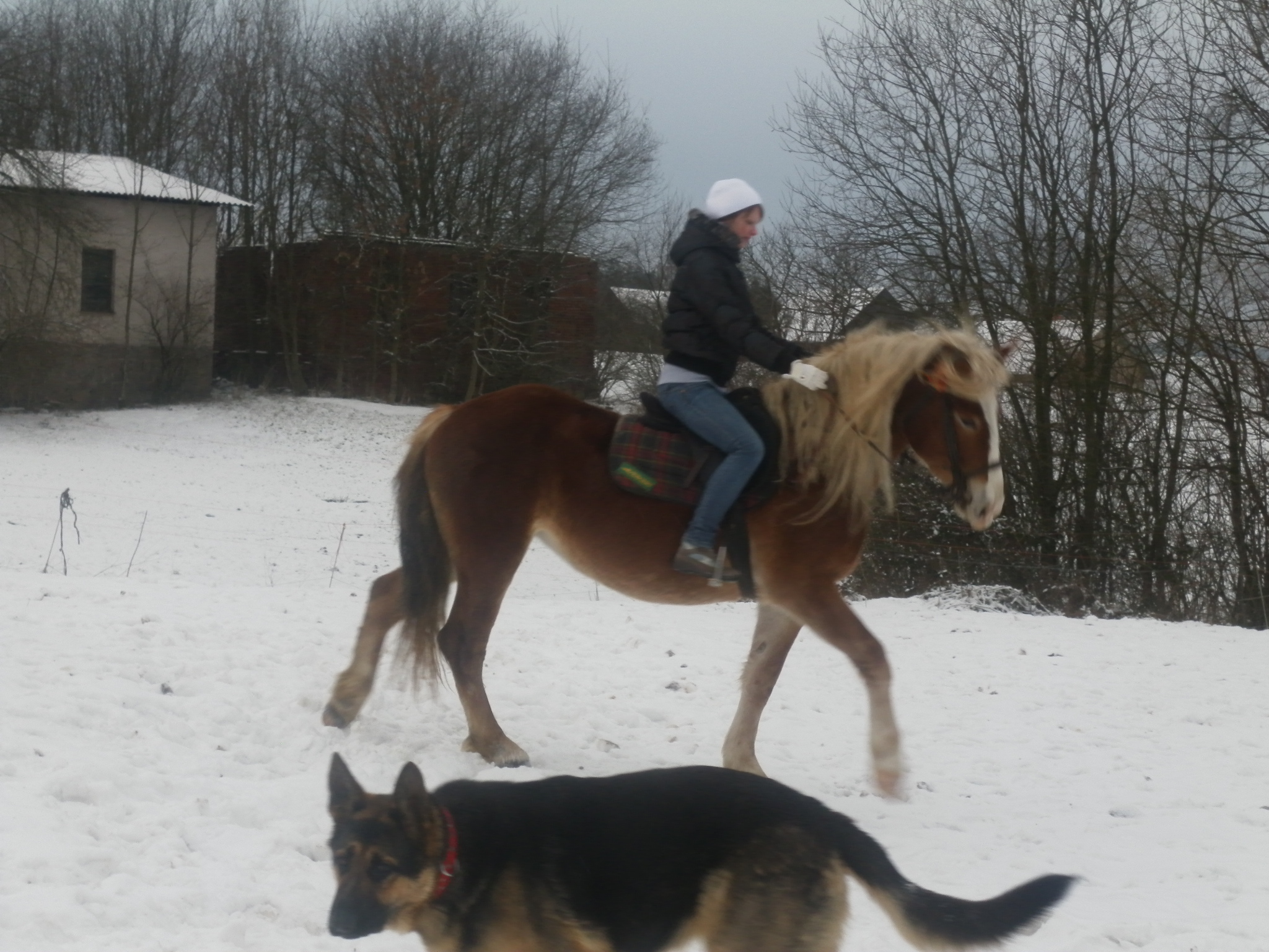 SAM_0214