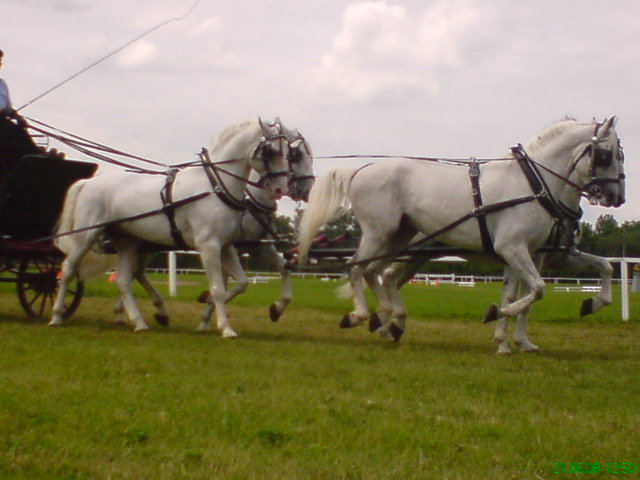 DSC01046.JPG