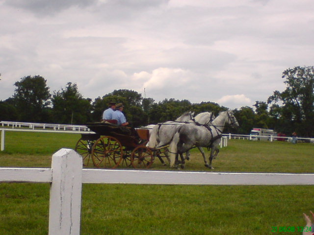 DSC01055.JPG