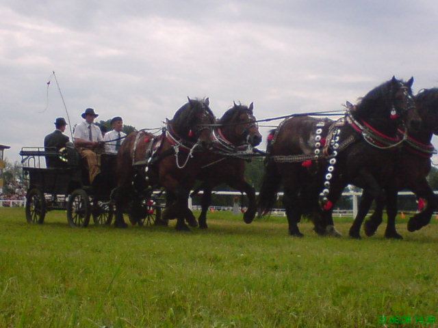 DSC01098.JPG