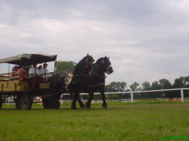 DSC01100.JPG