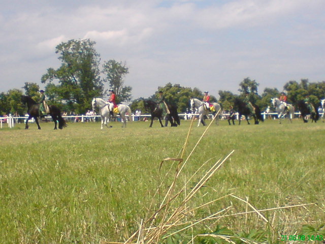 DSC01118.JPG