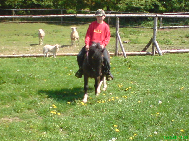 DSC00847.JPG