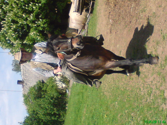 DSC00849.JPG