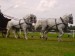 DSC01046.JPG