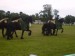 DSC01086.JPG