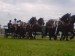 DSC01098.JPG