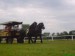 DSC01100.JPG