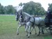 DSC01162.JPG